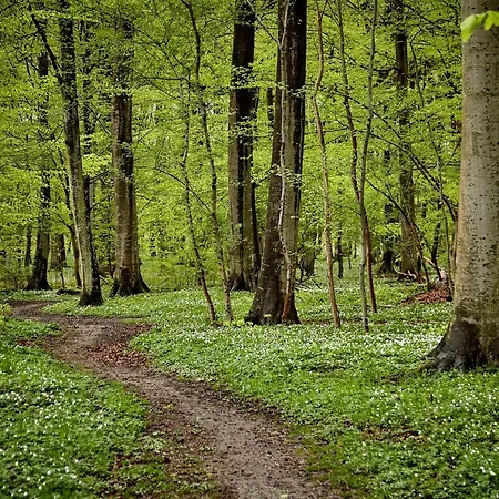 Szálloda Comwell Klarskovgaard