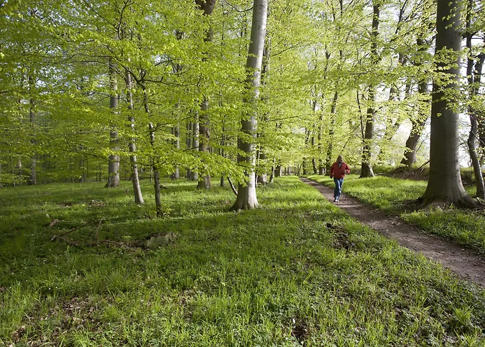 Hotel Comwell Klarskovgaard