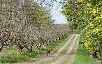 Hotel Comwell Klarskovgaard Korsør
