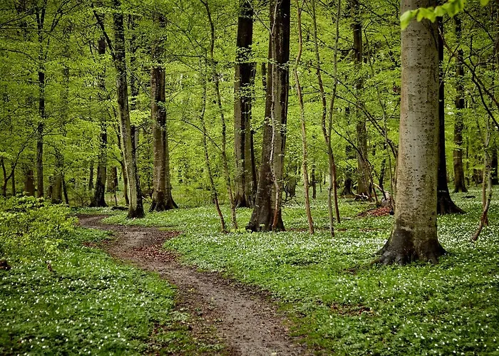 Hotel Comwell Klarskovgaard